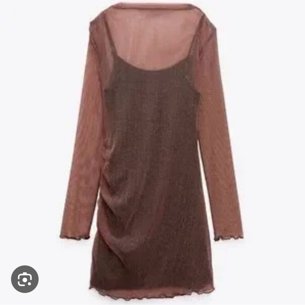 Zara Shimmery Brown Long-Sleeve Dress